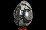 Septarian Dragon Egg Geode - Black Crystals #88500-2